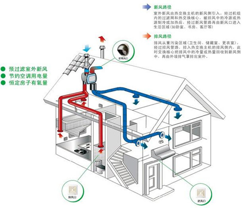 大把执手系列 第10页