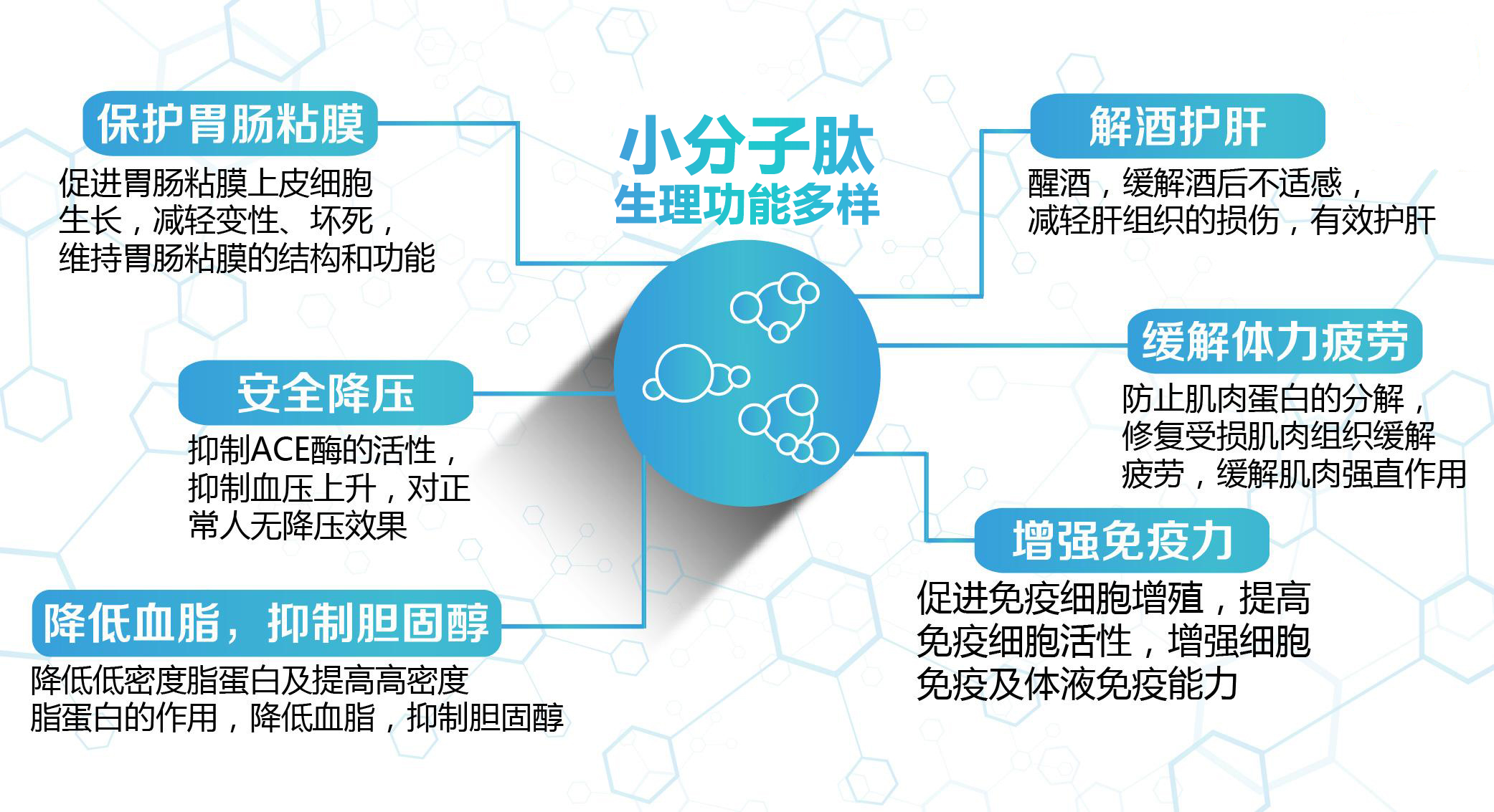 膨松剂的应用与多样性功能探讨